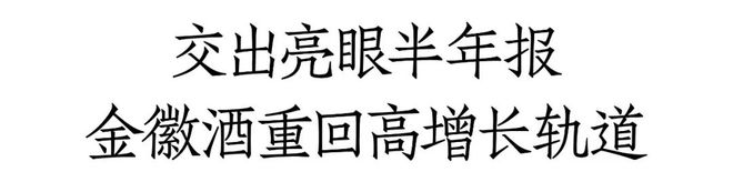 搭乘“中国速度”金徽酒跑出发展加速度(图4)