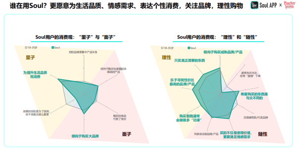 2024年中国青年营销策略研究报告：品牌年轻化从社交开始(图4)