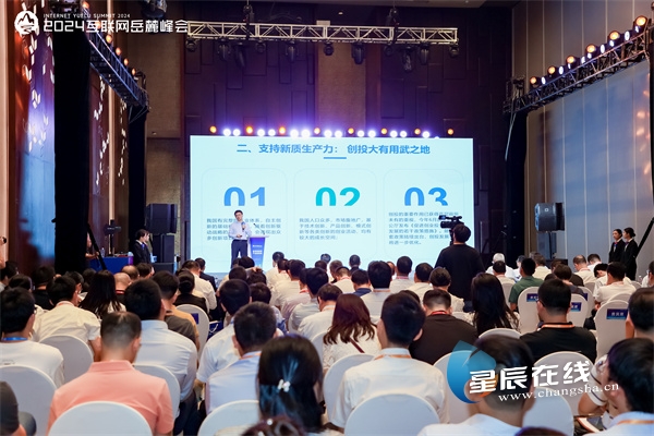 2024互联网岳麓峰会“投资新趋势产业新格局”主题论坛举行业内大咖畅谈“创投新热点”(图2)